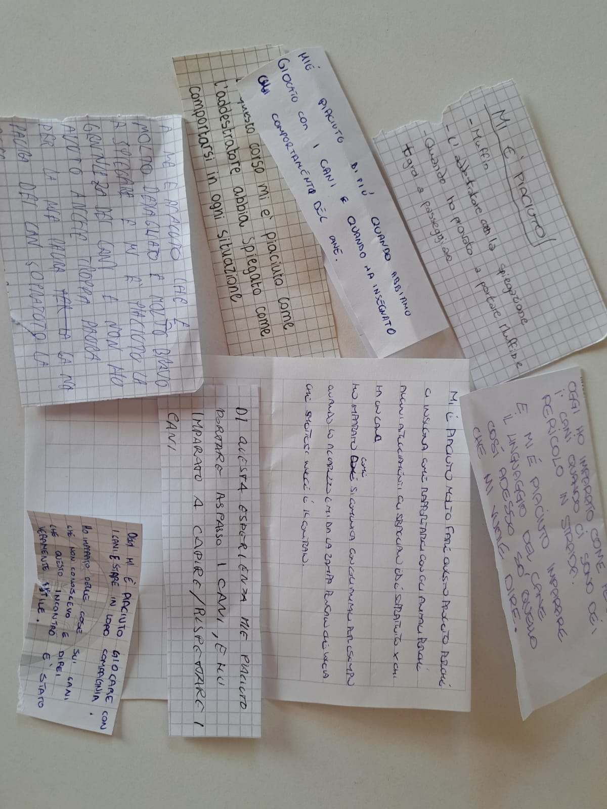 Immagini album